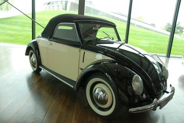Zdjęcie 123