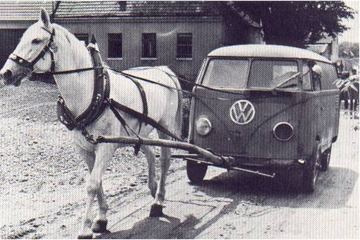 Zdjęcie 22