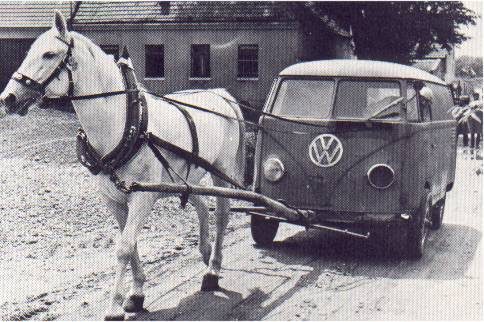 Buliki i Ogórki – zdjęcie 22