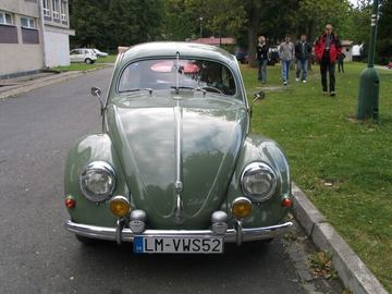 Zdjęcie 11