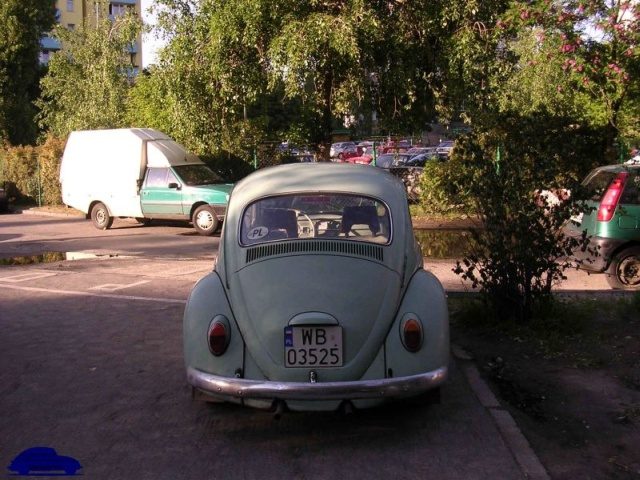 Garbusy – zdjęcie 15