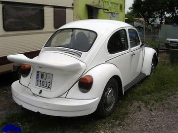 Zdjęcie 19