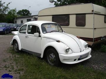 Zdjęcie 20