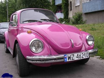 Zdjęcie 21
