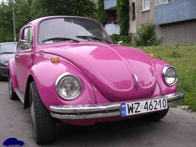 Garbusy – zdjęcie 21