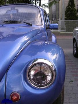 Zdjęcie 23