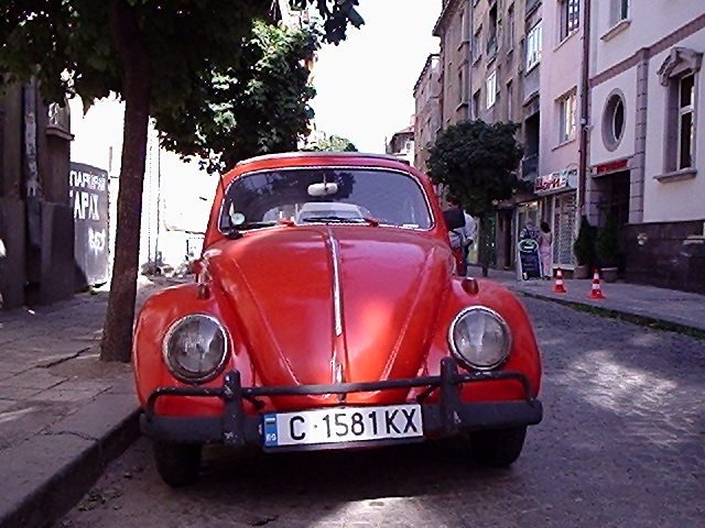 Garbusy – zdjęcie 36