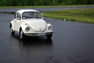 Zdjęcie 12