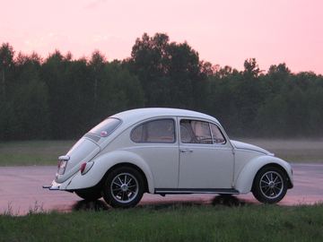 Zdjęcie 52
