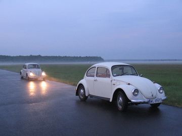 Zdjęcie 55