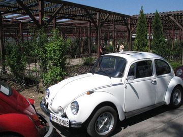 Zdjęcie 18