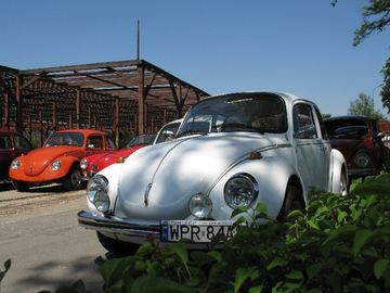 Zdjęcie 26