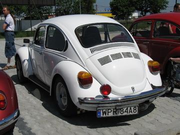 Zdjęcie 3