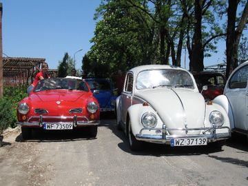Zdjęcie 30