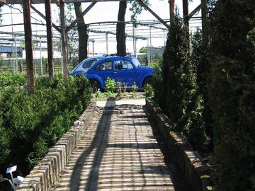 Zdjęcie 33