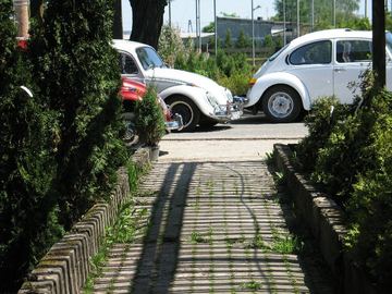 Zdjęcie 34