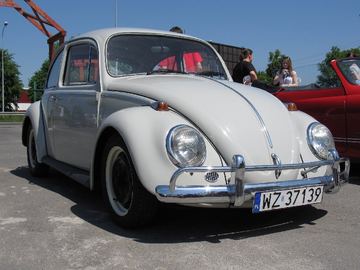 Zdjęcie 6