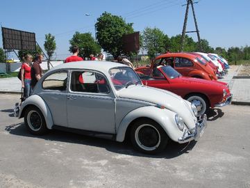 Zdjęcie 8