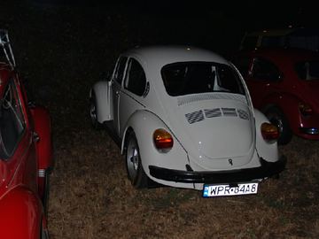 Zdjęcie 113