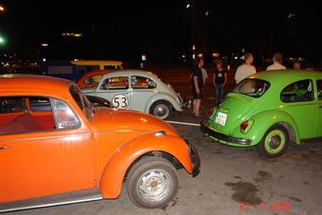 Zdjęcie 73