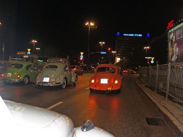 Zdjęcie 91