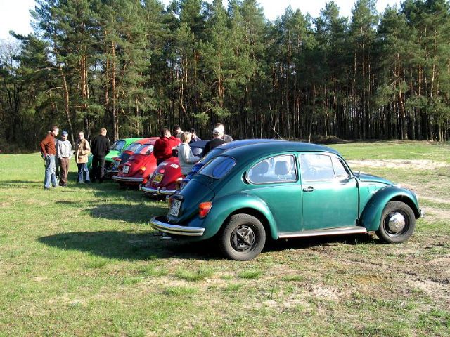 Pierwszy wiosenny grill – zdjęcie 39
