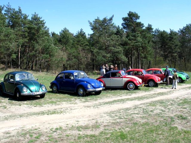 Pierwszy wiosenny grill – zdjęcie 7
