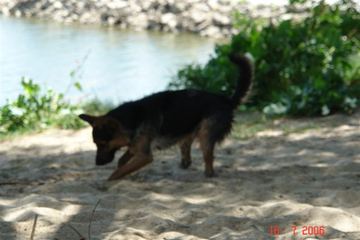 Zdjęcie 13
