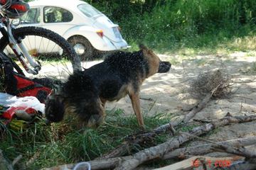 Zdjęcie 14