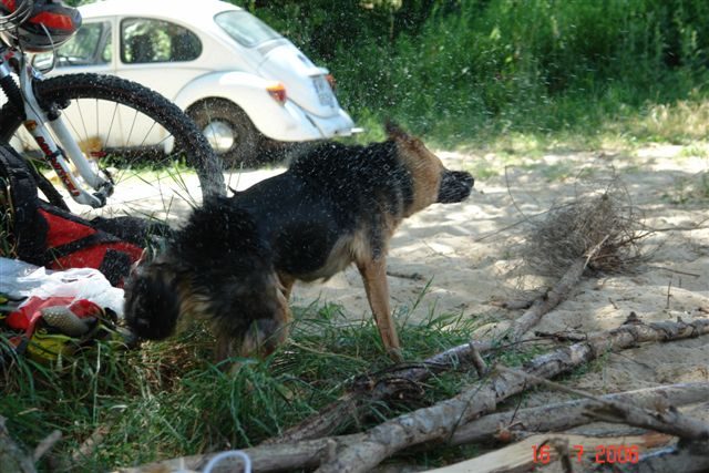 Piknik nad Wisłą - 16 lipca 2006 – zdjęcie 14