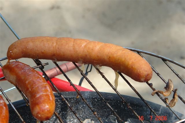 Piknik nad Wisłą - 16 lipca 2006 – zdjęcie 27