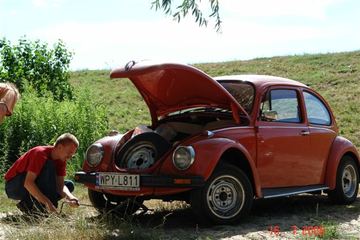 Zdjęcie 34