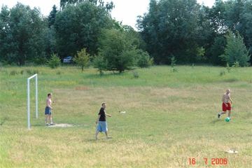 Zdjęcie 43