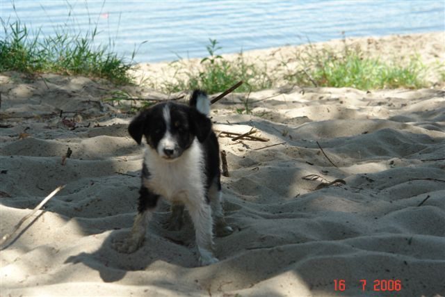Piknik nad Wisłą - 16 lipca 2006 – zdjęcie 6