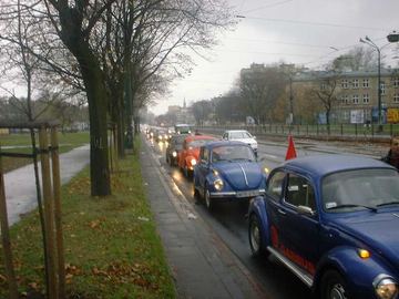 Zdjęcie 24