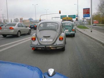 Zdjęcie 8