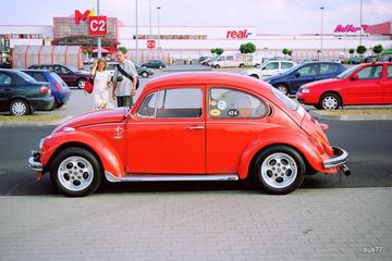 Zdjęcie 13