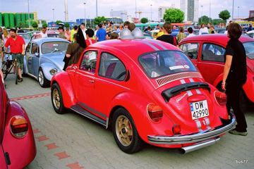 Zdjęcie 19