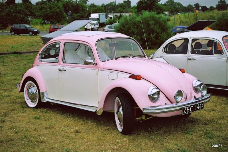 Volksmania - Poznań – zdjęcie 26