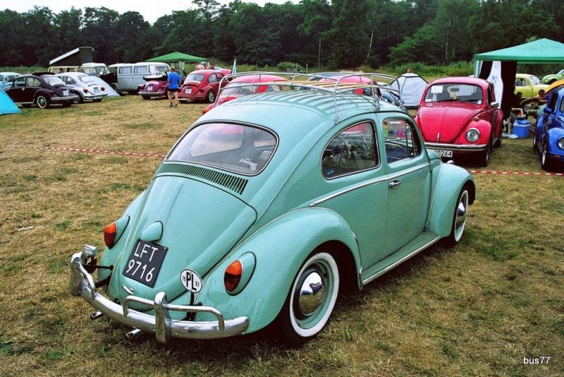 Volksmania - Poznań – zdjęcie 3