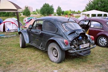 Zdjęcie 8