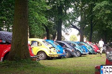 Zdjęcie 25