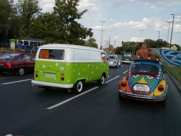 Zdjęcie 100