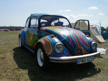 Zdjęcie 16