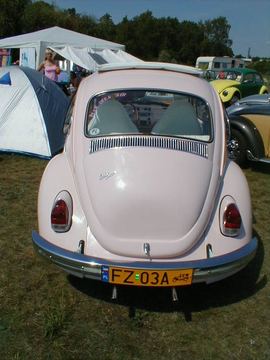 Zdjęcie 22
