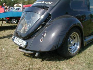 Zdjęcie 29