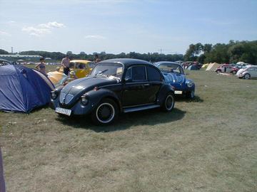 Zdjęcie 31