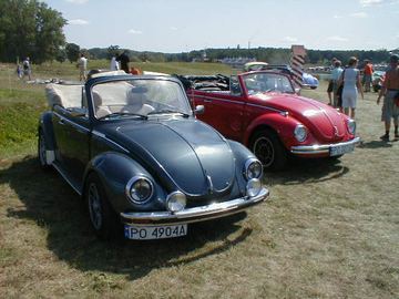 Zdjęcie 40