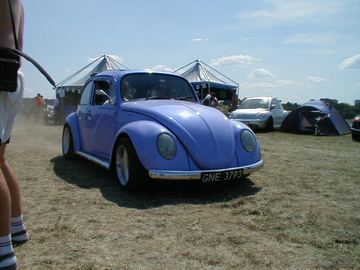 Zdjęcie 41