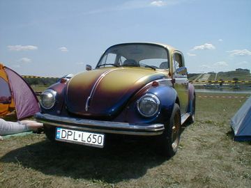 Zdjęcie 49